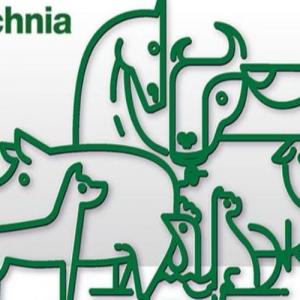 Ξεκινάει η 12η Διεθνής Έκθεση κτηνοτροφίας και πτηνοτροφίας «Zootechnia»